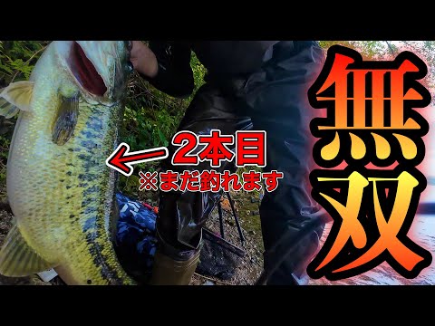 【琵琶湖】今が旬のあの釣りで極太バス連発！！