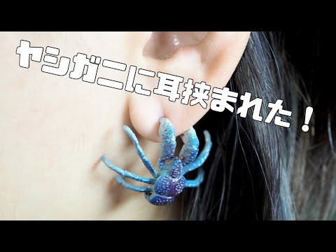 ヤシガニのピアスとイヤーカフ