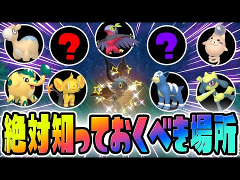 【必見】祠の近くにある好きなポケモンが選べる色違い厳選場所を教えます！【ポケットモンスター スカーレット・バイオレット/SV】