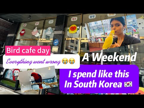 My weekend in South Korea | bird cafe| bad day 😭