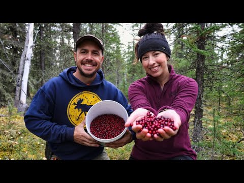 Wild Cranberries & Spruce Grouse | Harvesting Dinner from the Forest