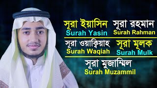 পাঞ্জে সূরা ইয়াসিন, আর রহমান, ওয়াকিয়া, মুলক, মুজাম্মিল l ক্বারী আবু রায়হান Panje Surah tilawat