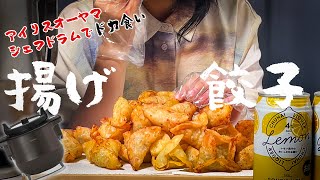 【アイリスオーヤマ】金曜日夜にシェフドラムで揚げ餃子大量生産してみた🥟🥟🍋