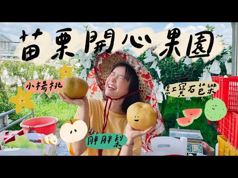 跟東區妹仔過「過期」情人節❤️ 🏵 李佳穎