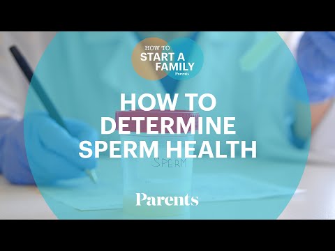 How to Determine Sperm Health | How to Start a Family | Parents