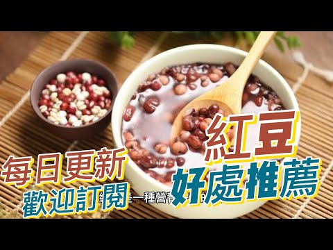 EP 132 紅豆 red beans 的好處與作用 鈣和鐵 維生素和礦物質 補充 健康  養生 天然 食療 原形食物  素食