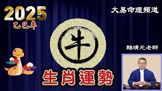 2025年 牛 生肖運勢｜2025 生肖「牛」 完整版｜2025年 运势 牛｜乙巳年運勢  牛 2025｜2025年 运途 牛｜牛 生肖运程 2025｜大易命理頻道｜賴靖元 老師｜CC 字幕