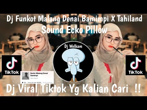 DJ FUNKOT MALANG DENAI BAMIMPI X THAILAND SOUND ECKO PILLOW || DJ VIRAL TIK TOK 2024 YG KALIAN CARI