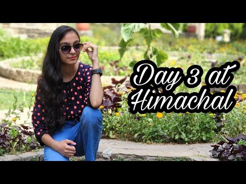 Day 3 at Himachal | Carignano Nature's Park | kali ka tibba temple | Tavleen kaur Vlogs |