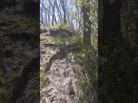 You Don't Even See This Side Trail Until Your On It. #walking #outdoors #creek #woods #prairie