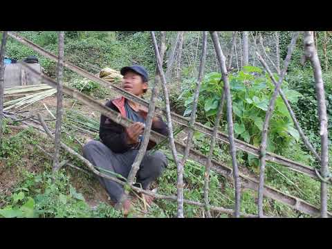 Daily activities in village || Nepali village life