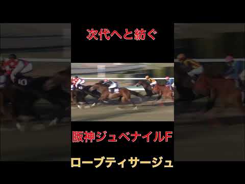 次代へと紡ぐローブティサージュ【阪神JF】#競馬#阪神ジュベナイルフィリーズ