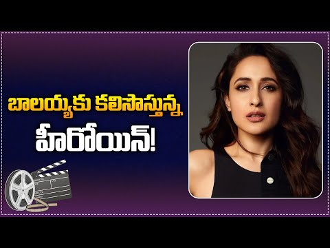 బాలయ్యకు కలిసొస్తున్న హీరోయిన్ | Pragya Jaiswal Back to Back Movies with Balakrishna | Tupaki