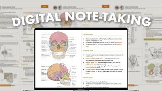 digital note-taking system pt. 1 ✍🏻 how i take neat & effective notes on google docs