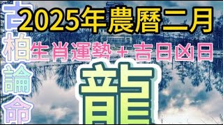 【古柏論命每月運勢+吉日凶日】2025年農曆2月(陽曆2/28 ~3/28)生肖運勢分享 -  龍