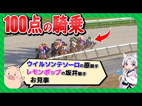 【ウイルソンテソーロ爆走】チャンピオンズCのレース振り返り解説