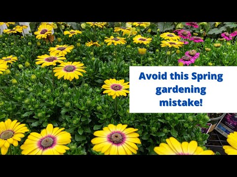 Don’t make this spring gardening mistake