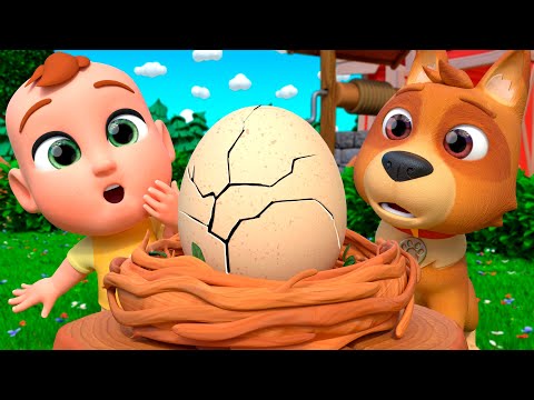 Humpty Dumpty Farm Version | Newborn Baby Songs & Nursery Rhymes