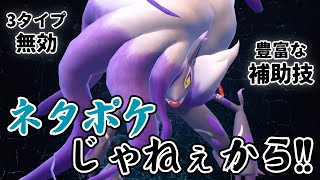 先制技、専用技、受け破壊技、ヒスイゾロアークが優秀すぎる【ポケモンSV】