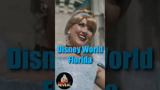 Disney Reveal Video - Order Today For a Magical Theme Park Reveal