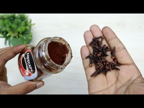 ADD Cloves to Your Coffee and SAVE Money!