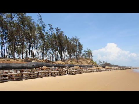 Shankarpur Beach Digha !