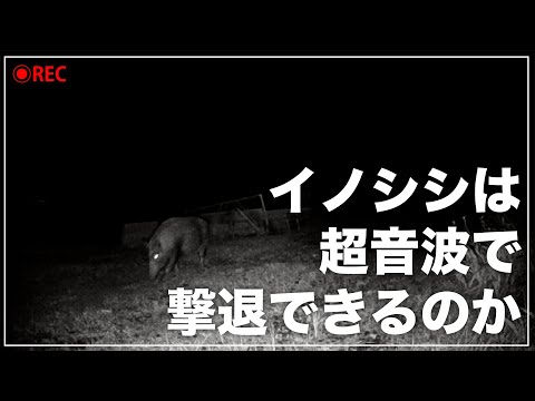 【検証】超音波で害獣対策ってどうなの？【イノシシ・シカ】