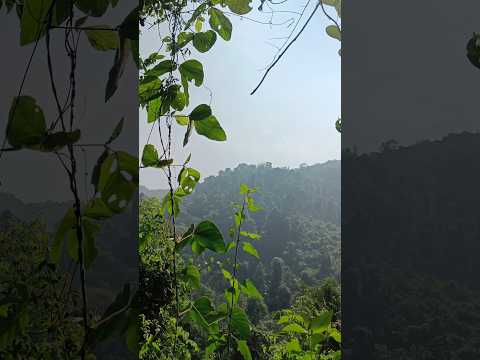 The Beauty of Vibhoothi falls 🍃🌿 #vibhoothifalls #vibhuthidfalls #explorepage #explore #gokarna #yt