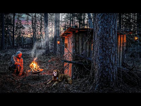 Overnight in a REMOTE HUNTING SHACK with my Dog