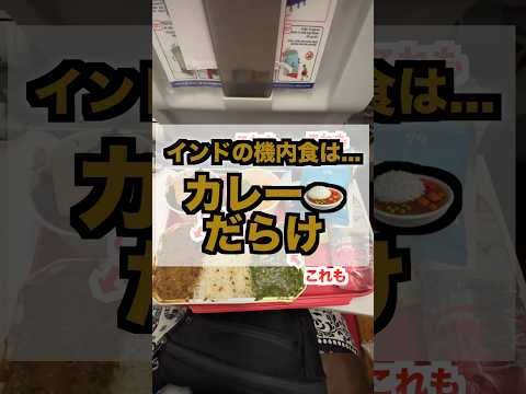 インドの飛行機の機内食はカレーのみだった！⁡ #shorts #インド旅行 #エアインディア #インド #インドカレー