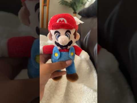 A custom, super Mario 64 plushy