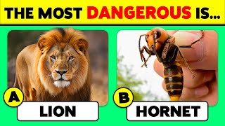 🧠 How Good Is Your Knowledge of ANIMALS? 🦁🐘✅ 50 Animals Knowledge Trivia Quiz