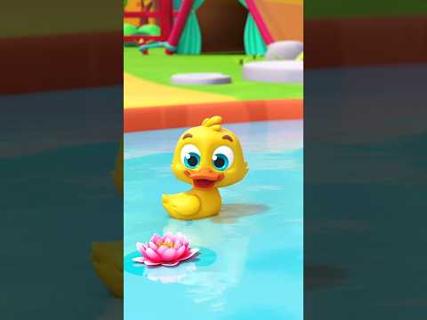 Five Little Ducks #shorts #countingsong #cartoonvideos #zoobees