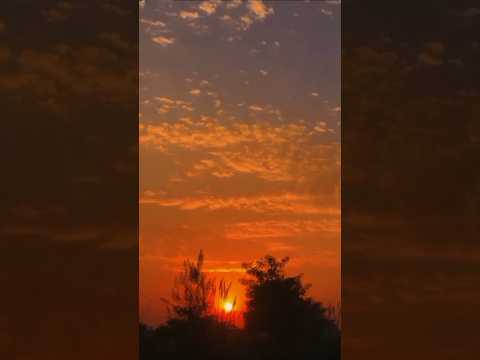 A beautiful Sunset#viralvideo #newpunjabisong #youtubeshorts