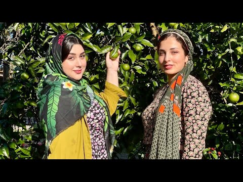 Cooking Village Style Smoked Chicken | Fried Chicken Recipe in Iranian Village Style