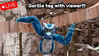 Gorilla Tag Stream {Road to 1k}