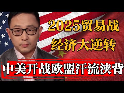 2025中美幹架歐盟遭殃，世界經濟形式大逆轉，歐盟主席汗流浹背#纪实 #时间 #經濟 #窦文涛 #历史 #圆桌派  #文化 #聊天 #川普 #中美关系 #推薦 #熱門