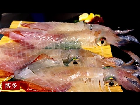 Sushi and tempura restaurants with delicious squid: Japanese cuisine