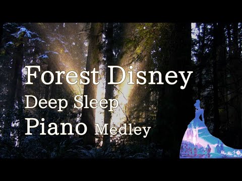 Disney Piano Collection "Forest Disney" for Deep Sleep, Relaxing and Soothing(No Mid-roll Ads)