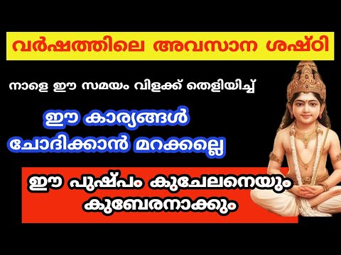 വർഷത്തിലെ അവസാന ശഷ്ഠി അമ്മമാർ ഈ വാക്ക് പറയാൻ മറക്കല്ലെ ....shashti 2024