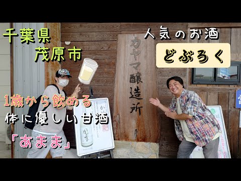 【テレビでも紹介された】千葉県茂原市にある『カヤマ醸造所』さんに行ってきました。手作りの米麹甘酒「あまま」·どぶろく「かやま」試飲もできます！プレゼントにもおすすめです🎁