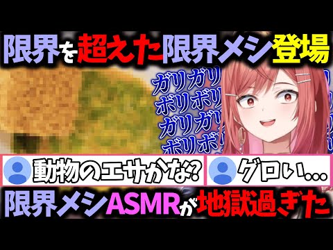 もはや誰も止められないレベルの限界メシになってしまい、限界メシASMRという新ジャンルまで開拓してしまうｗｗｗ【一条莉々華/切り抜き】