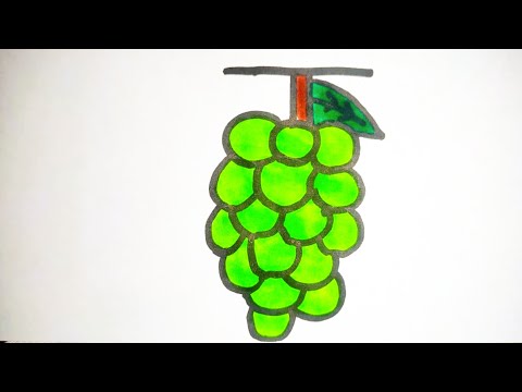 Grapes drawing/ how to draw grapes/ Easy grapes drawing