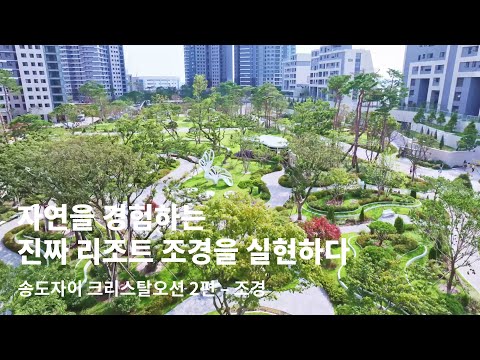 BA FOCUS | 자연을 경험하는 진짜 리조트 조경을 실현하다