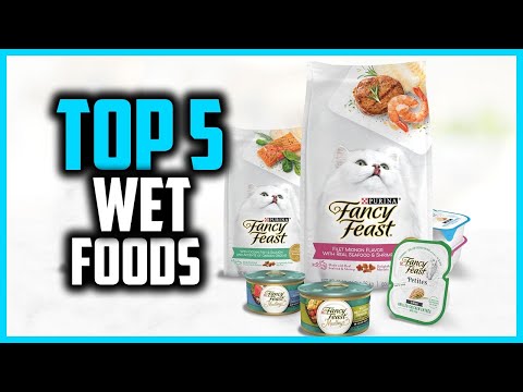 ✅Top 5 Best Wet Foods for Kittens in 2024