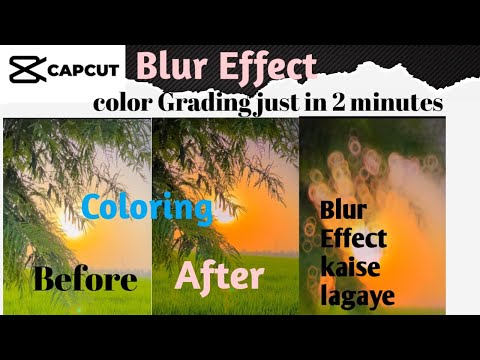 Cap Cut se Color Grading And Blur Video kaise Banaye_#capcut #capcutedit #colorgrading #edit  #edits