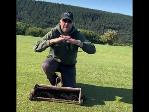 Top Tips - Verticutting vs Scarifying