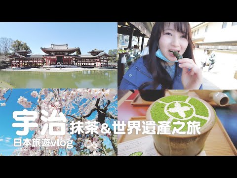 京都｜"日本最古老"國寶宇治上神社、世界遺產平等院、宇治抹茶中村藤吉本店、櫻花季｜日本旅遊vlog／Japan travel 2022 Kyoto vlog