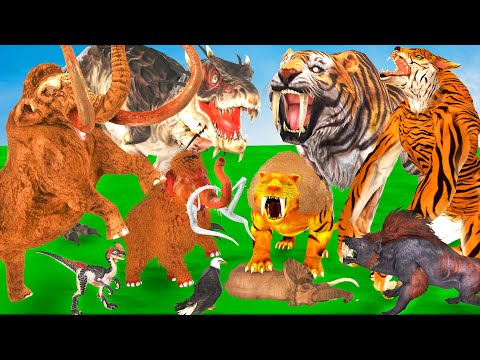 Woolly Mammoth Dinosaur Vs Saber Tooth Tiger Wolf Vs Hyena attack Baby Mammoth Elephant Save by TRex