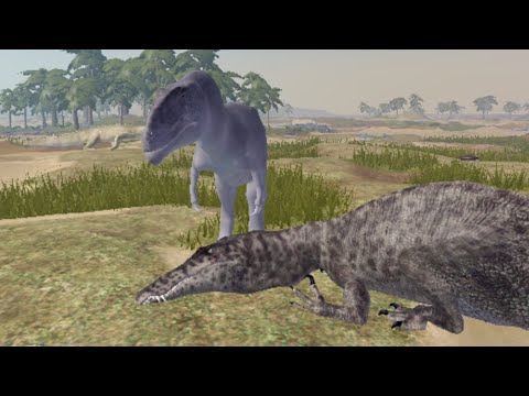 Just some Kelmayisaurus gameplaye